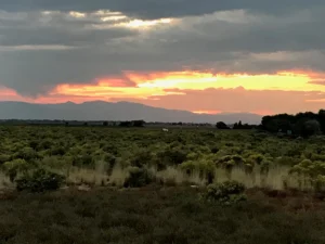 Sunset over a field with low green shrubs, distant mountains, and a cloudy sky with orange and yellow hues.