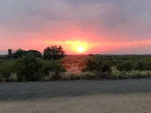 The sun sets over a green shrubland landscape, casting a pink and orange glow across the sky and clouds.