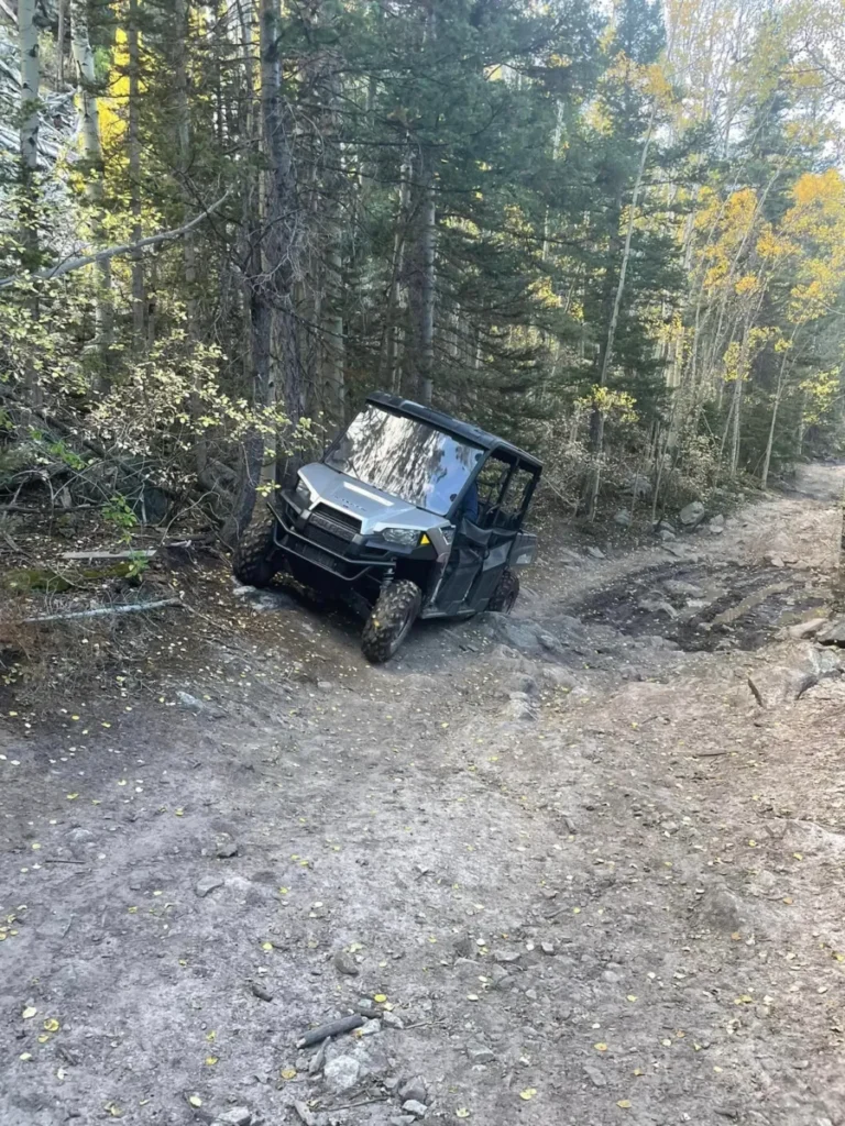 A black off-road utility vehicle navigates a rocky dirt trail through a forest with green and yellow trees.