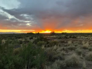 Sunset over a grassy desert landscape with scattered shrubs and clouds in the sky.