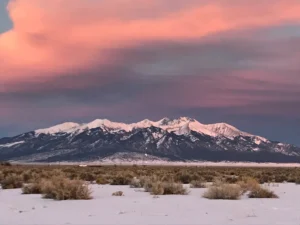 Snow-capped mountains under a pink and purple sunset sky, with desert shrubs and snow in the foreground.